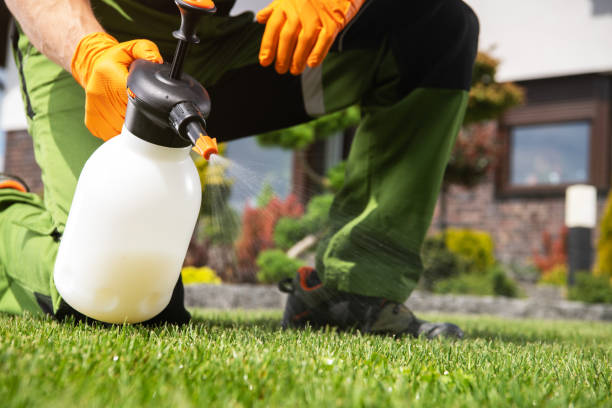Best Termite Control Services  in Mercerville, NJ