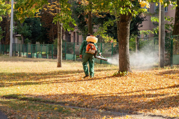 Flea Control Services in Mercerville, NJ